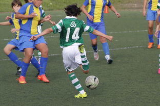 爱游戏中国官网-那不勒斯主场艰难逆转，晋级之路更加险峻！