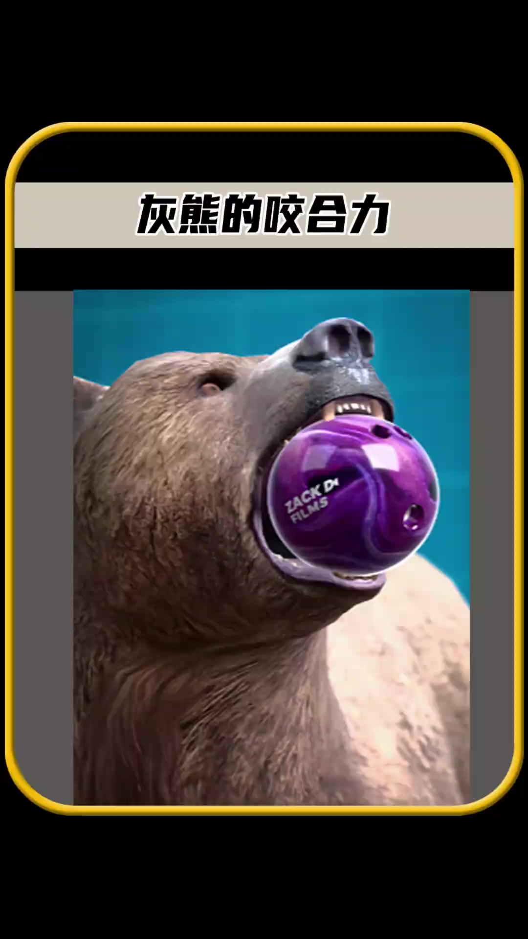 雄鹿赢下灰熊取得胜利